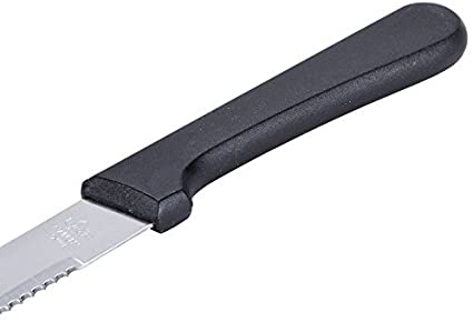 Couteau à steak manche en plastique 1 douzaine/caisse