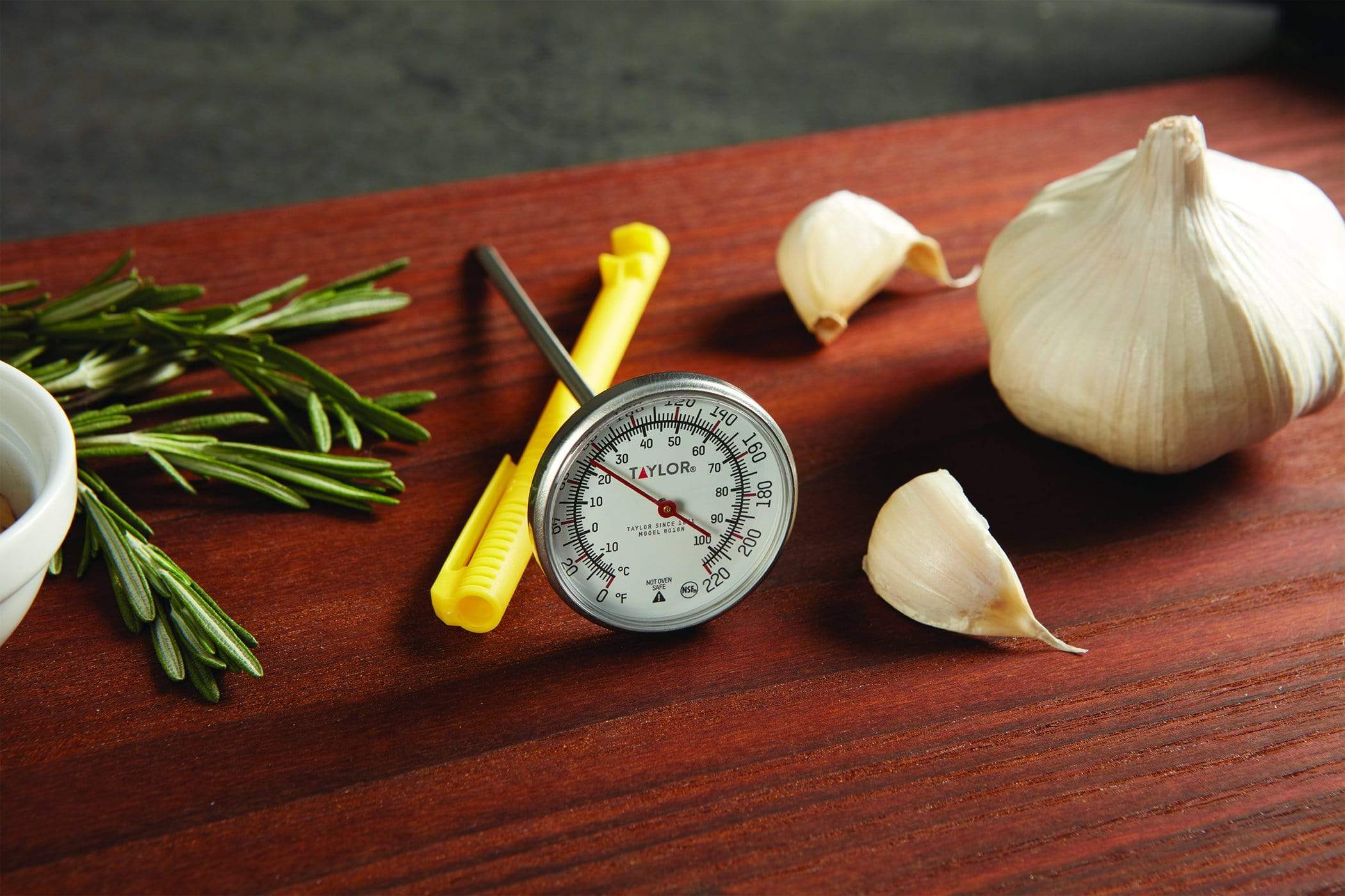 Thermomètre de poche à cadran 0°F à 220°F Taylor