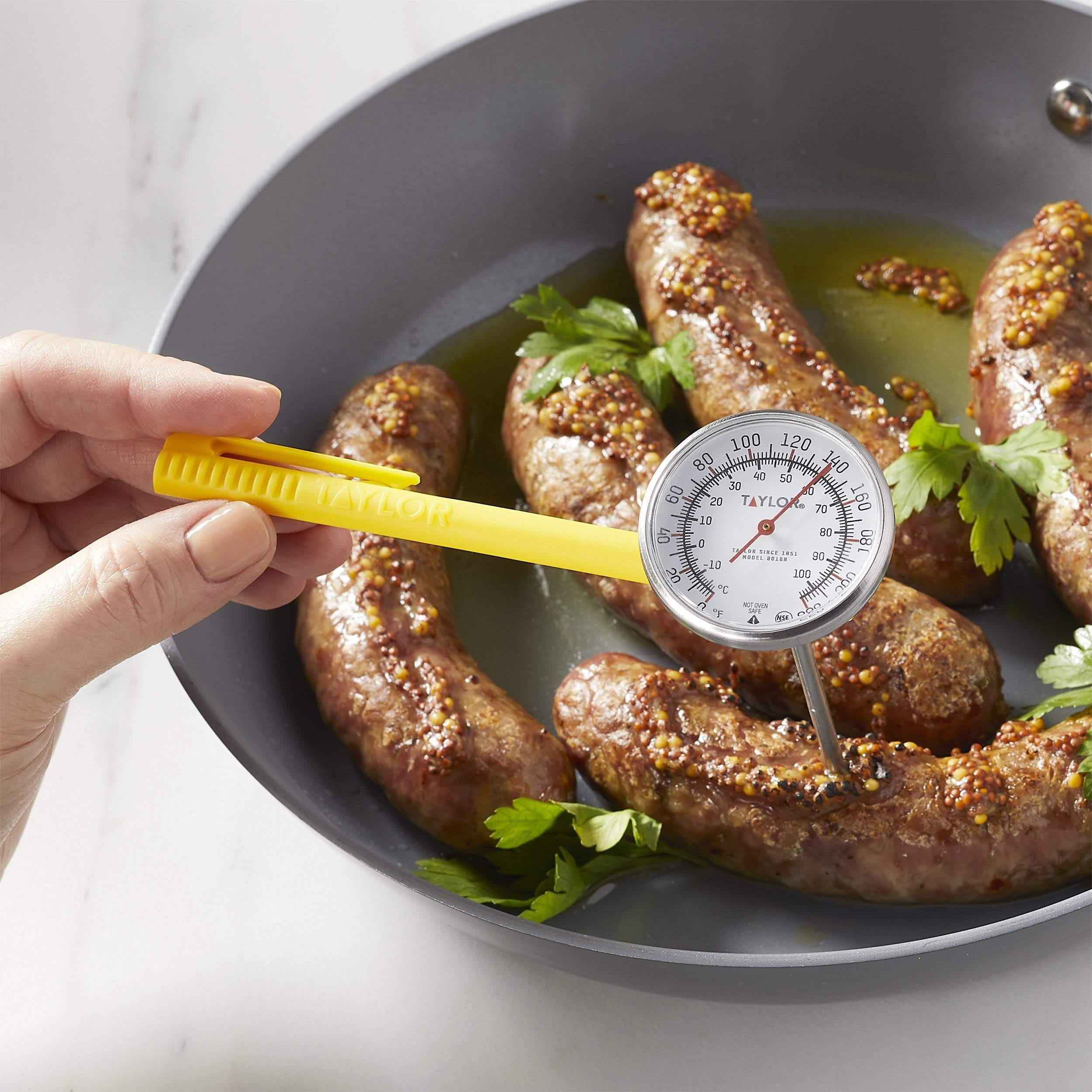 Thermomètre de poche à cadran 0°F à 220°F Taylor