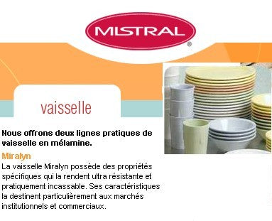 Assiette a diner 9 pouces melamine blanche (vendu en caisse de 24)