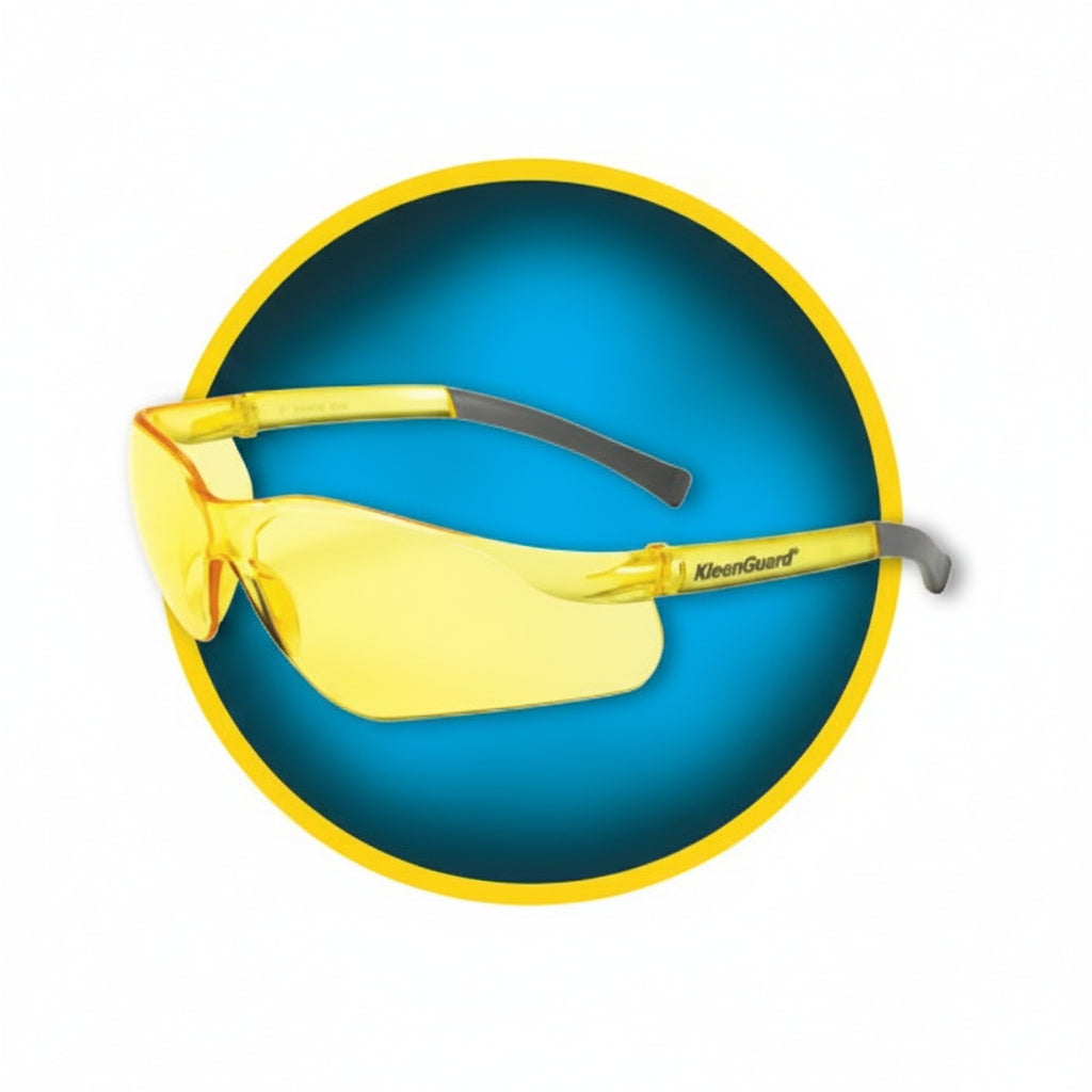 V-20 Clear Protective Glasses