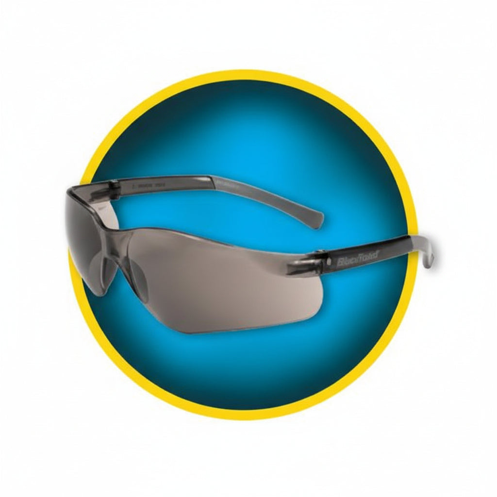 V-20 Clear Protective Glasses